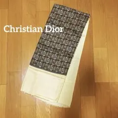 Christian Dior ペイズリー柄シルク x ウール　マフラー
