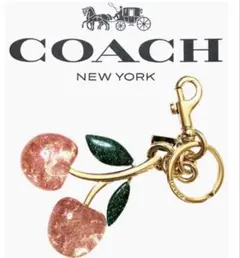 新品　COACH コーチ　チェリー　バッグチャーム　レッドアップル　箱・紙袋付き 新品 COACH コーチ チェリー バッグチャーム レッドアップル 箱・紙袋