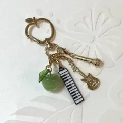 かじゅ様専用◎青リンゴ　キーホルダー　×2個 と　りんごのケース5個