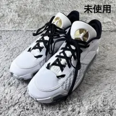 【未使用】NIKE ナイキAIR JORDAN 38 LOW PF 29cmのサムネイル