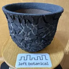 2026年最新】lef botanicalの人気アイテム - メルカリ