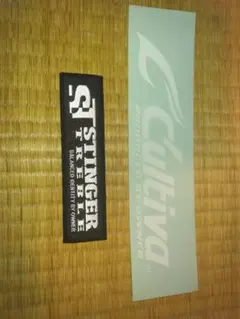 Item thumbnail for item 8753fa5d-c314-486a-a974-3c15f65f0d01