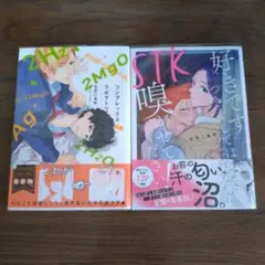 七升こあめ　2冊セット