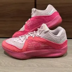 ◎新品未使用品◎ Nike KD17 EP Aunt Pearl アントパール - メルカリ