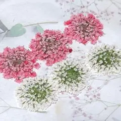 Mii様 リクエスト 2点 まとめ商品