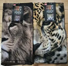 Item thumbnail for item 463f0d2e-d604-437c-aa01-2373b868c914