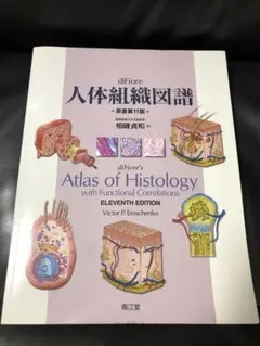 diFiore人体組織図譜 11版 南江堂 医療 臨床検査技師 薬学 組織生理学