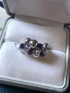 Item thumbnail for item 0b136a0c-95f1-40d4-b049-dcbc7f89a639