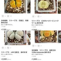 専用❤️同梱-150円miki0321様 リクエスト 4点 まとめ商品