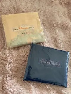 Item thumbnail for item 4ea620f5-e31b-4c3d-9b17-d3144d5b6871