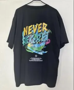 未使用　半袖Tシャツ　バックプリントTシャツ　ブラック　夏M