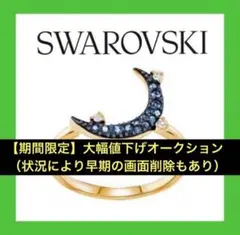 899【激レア色＊完売＊入手困難】￥22,000／黒系Dexteraフープピアス 