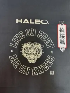 Item thumbnail for item 1457c98a-baf7-4820-941d-8745aac5cd67