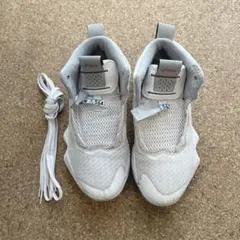 asics バスケットボールシューズ NOVA SURGE ノバサージ　25.0