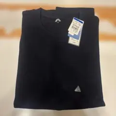 Item thumbnail for item 2f5ddcfe-1299-4721-bf3f-013d6340ff0b