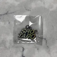 Item thumbnail for item 38a8505a-4867-46fe-abab-3e6cee5d311d