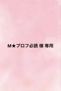 M★プロフ必読 様 専用