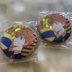 ハイキュー‼︎展　ゴミ捨て場の決戦　缶バッジ　日向翔陽 まとめ売り