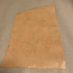 Item thumbnail for item b59568a1-0746-4200-8fdd-b4c928d84e46