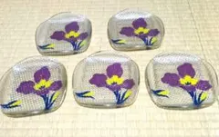 ガラス皿 花柄 昭和レトロ 菖蒲柄 透明ガラス プレート 小皿 和風5枚セット