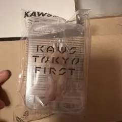 KAWS TOKYO FIRST キーホルダー ACCOMPLICE PINK