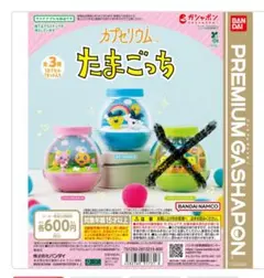 たまごっち カプセリウム まめっち みみっち めめっち