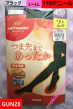 GUNZE 120デニール タイツ L～LL 黒 2枚組 つま先パイル グンゼ