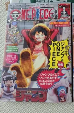 ワンピース カードゲーム マガジン