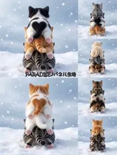 PARADISEパネル生地　 猫柄　P272