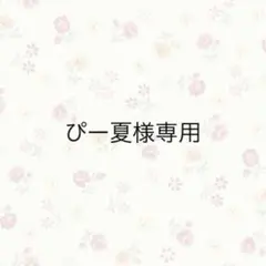 ぴー夏様専用