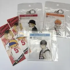 ハイキュー！！ 東武動物公園限定 アクリルキーホルダー 日向翔陽影山飛雄孤爪研磨