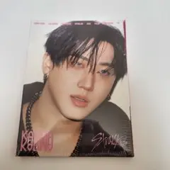 Stray Kids KARMA アコーディオンver 新品未開封 チャンビン