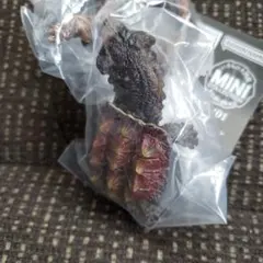 いきもの大図鑑 カメ