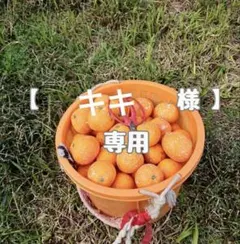 【キキ 様】専用