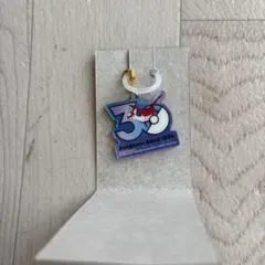 ポケチャーム ポケモン 30周年ロゴマスコット ラティアス