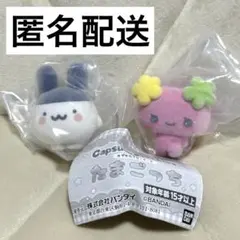 未使用 たまごっち カプセルフロッキーズ みみっち ふらわっち