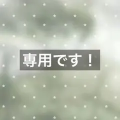 専用です