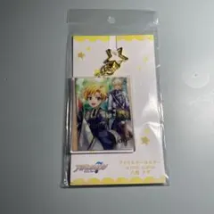 アイドリッシュセブン　アクリルキーホルダー　16 IDOL ALBUM　六弥ナギ