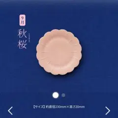 2026金麦花やか皿の大皿１枚 （9月秋桜）のサムネイル