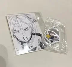 ハイキュー　くら寿司　めじるしチャーム　木葉