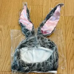 Item thumbnail for item 094b1a16-0c10-4364-ba31-a49a647d083e