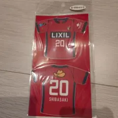 Item thumbnail for item 1a569c13-a2c6-41fa-9c83-991c380d1af4