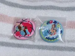 ディズニー 刺繍缶バッジ 2個セット 眠れる森の美女とリロ＆スティッチ