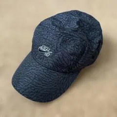 NIKE SB Camp Cap Air Jordan