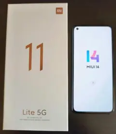 Item thumbnail for item dacce358-1d66-478b-bc0d-c5a2ab1f367b