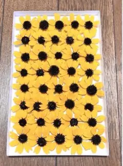 maa's shop❖3点ご購入特典有❖様 リクエスト 3点 まとめ商品