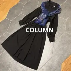 【新品】COLUMN エストネーション 秋ワンピース ロング　ふんわり