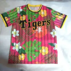 Item thumbnail for item 3aee3226-fc19-44be-810e-250666d187fe