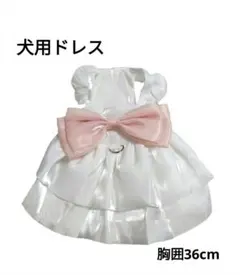 新品　犬用ドレス
