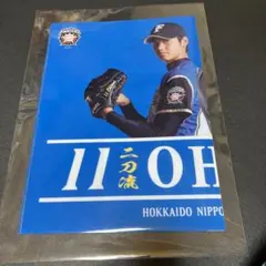 2025年最新】日本ハム 大谷 観戦証明書の人気アイテム - メルカリ